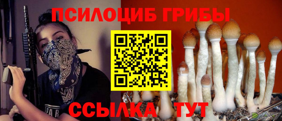 Псилоцибиновые грибы Psilocybine cubensis  Вход с VPN  Боровичи 